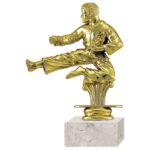 Trofeo plástico Karate RP-8416