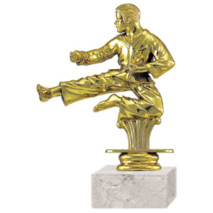 Trofeo plástico Karate RP-8416