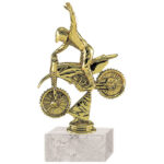 Trofeo plástico Motocross RP-8413