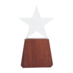 Trofeo de Madera y Cristal "Lonely Star"