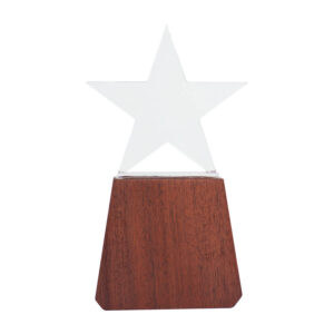 Trofeo de Madera y Cristal "Lonely Star"