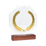 Trofeo Galvano de Madera, Cristal y Acero "Phelps"