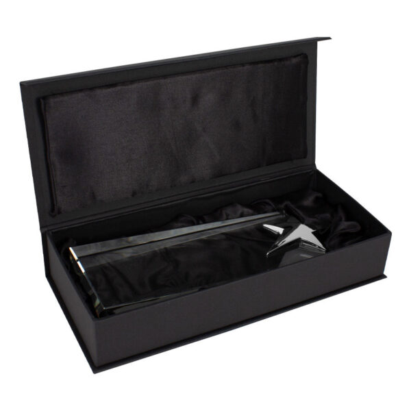 Trofeo Galvano de Cristal "Ledecky" - Imagen 7