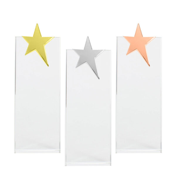 Trofeo Galvano de Cristal "Ledecky" - Imagen 9