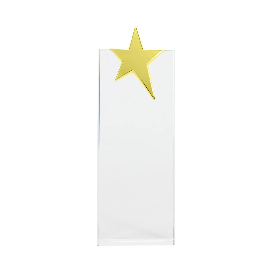 Trofeo Galvano de Cristal "Ledecky" - Imagen 4