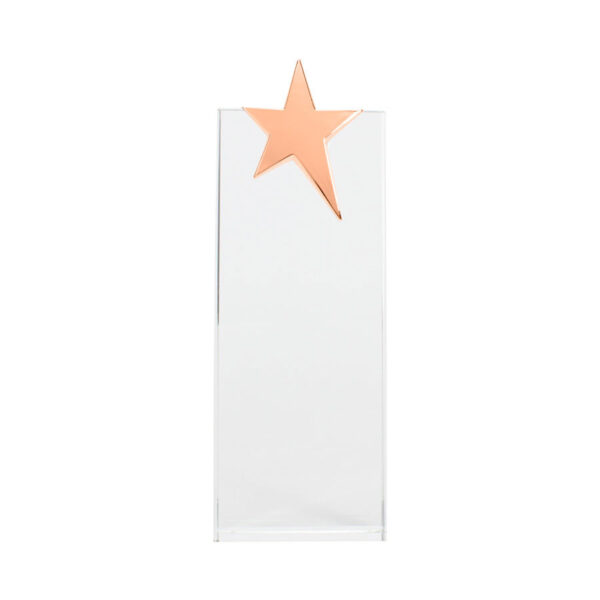 Trofeo Galvano de Cristal "Ledecky" - Imagen 5