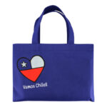 Bolsa TNT Vamos Chile