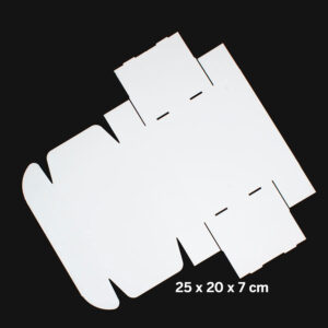 Caja autoarmable 25x20x7 cm