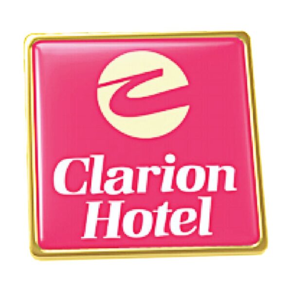 Piocha Broche Cuadrado Dorado (Pins) - Imagen 6