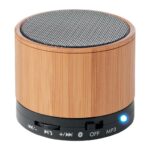 Altavoz Bamboo SK53
