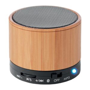 Altavoz Bamboo SK53