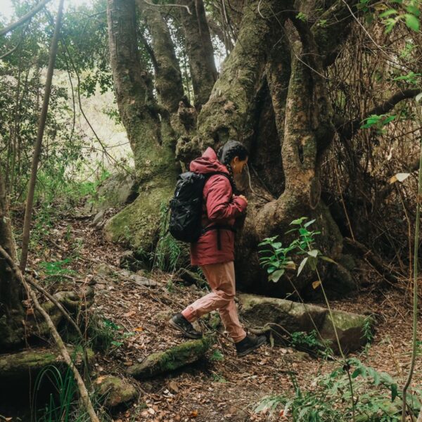 Mochila Annapurna - Black - Imagen 10